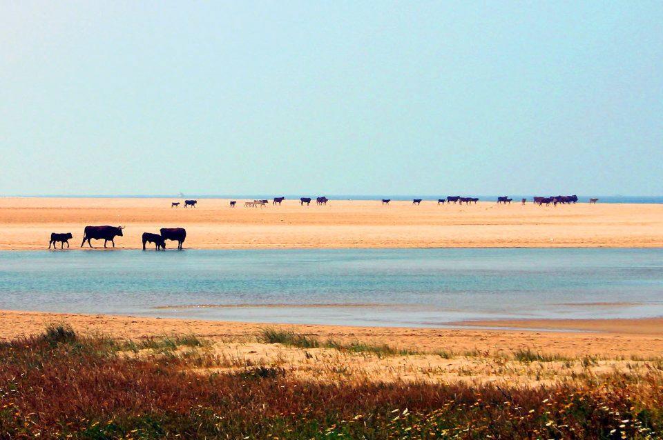 Ferreira Hostal Boutique Conil De La Frontera Exteriér fotografie
